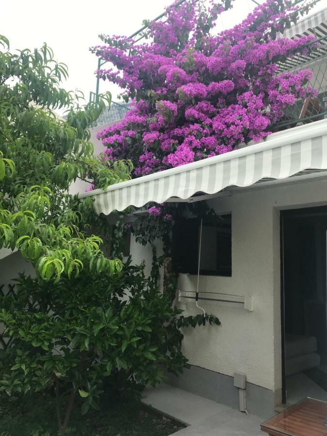 Sara Apartments Baška Voda Dış mekan fotoğraf